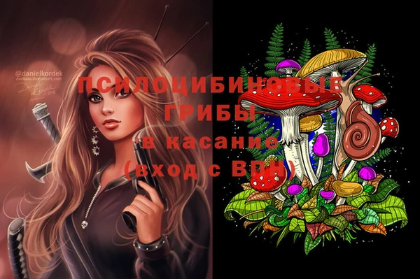 стафф Аркадак