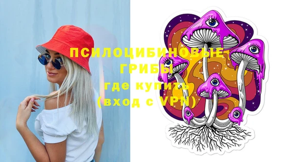 стафф Аркадак
